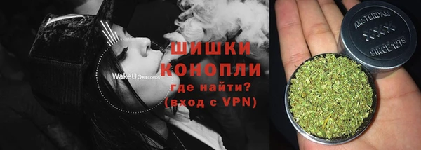 дурь Краснослободск