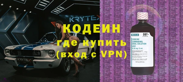 дурь Краснослободск