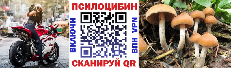 Псилоцибиновые грибы ЛСД  Купить где  Багратионовск 