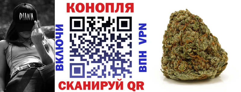 Купить где  Багратионовск  Бошки Шишки VHQ 